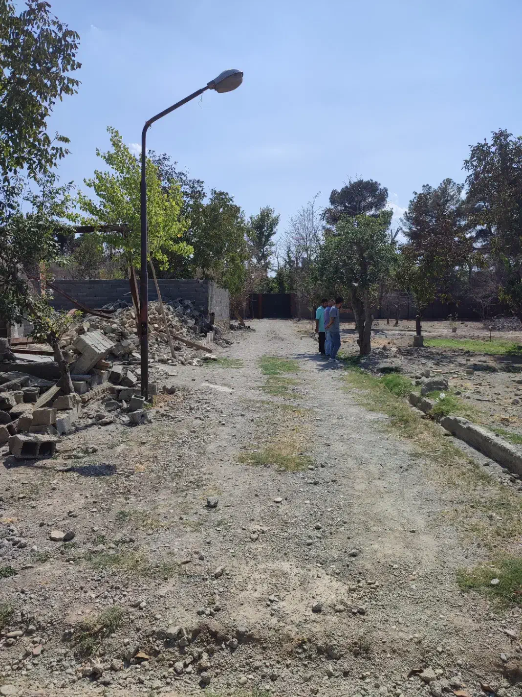 باغچه ۵۰۰ متری زیبادشت زیر قیمت|فروش زمین و ملک کلنگی|محمدشهر, زیبادشت|دیوار