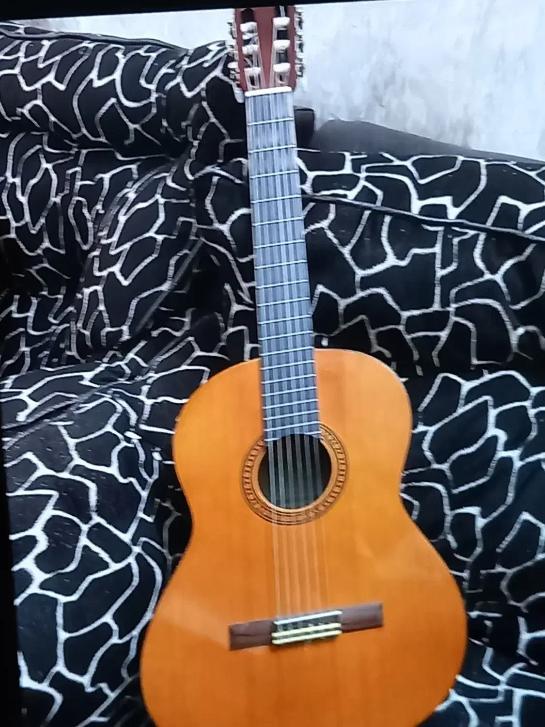 گیتار یاماها اندونزی cs40|گیتار، بیس، امپلیفایر|لاهیجان, کوی خزر|دیوار