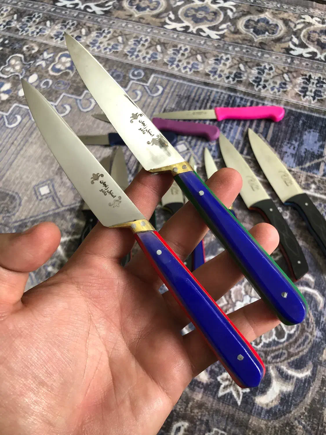 چاقو آشپزی و طبیعتگردی مخصوص|کوهنوردی و کمپینگ|تبریز, |دیوار