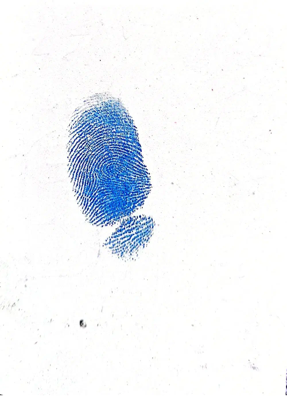 وام قرضالحسنه فوری|خدمات مالی، حسابداری، بیمه|چادگان, |دیوار