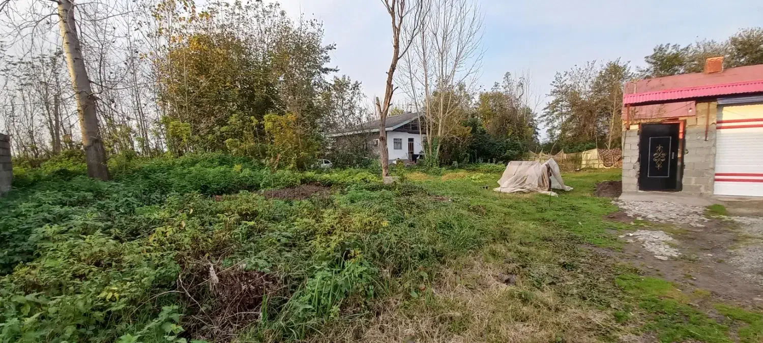 (*۳۰۰ متر زمین مسکونی با نامه بنیاد مسکن*)|فروش زمین و ملک کلنگی|رشت, کاکتوس|دیوار