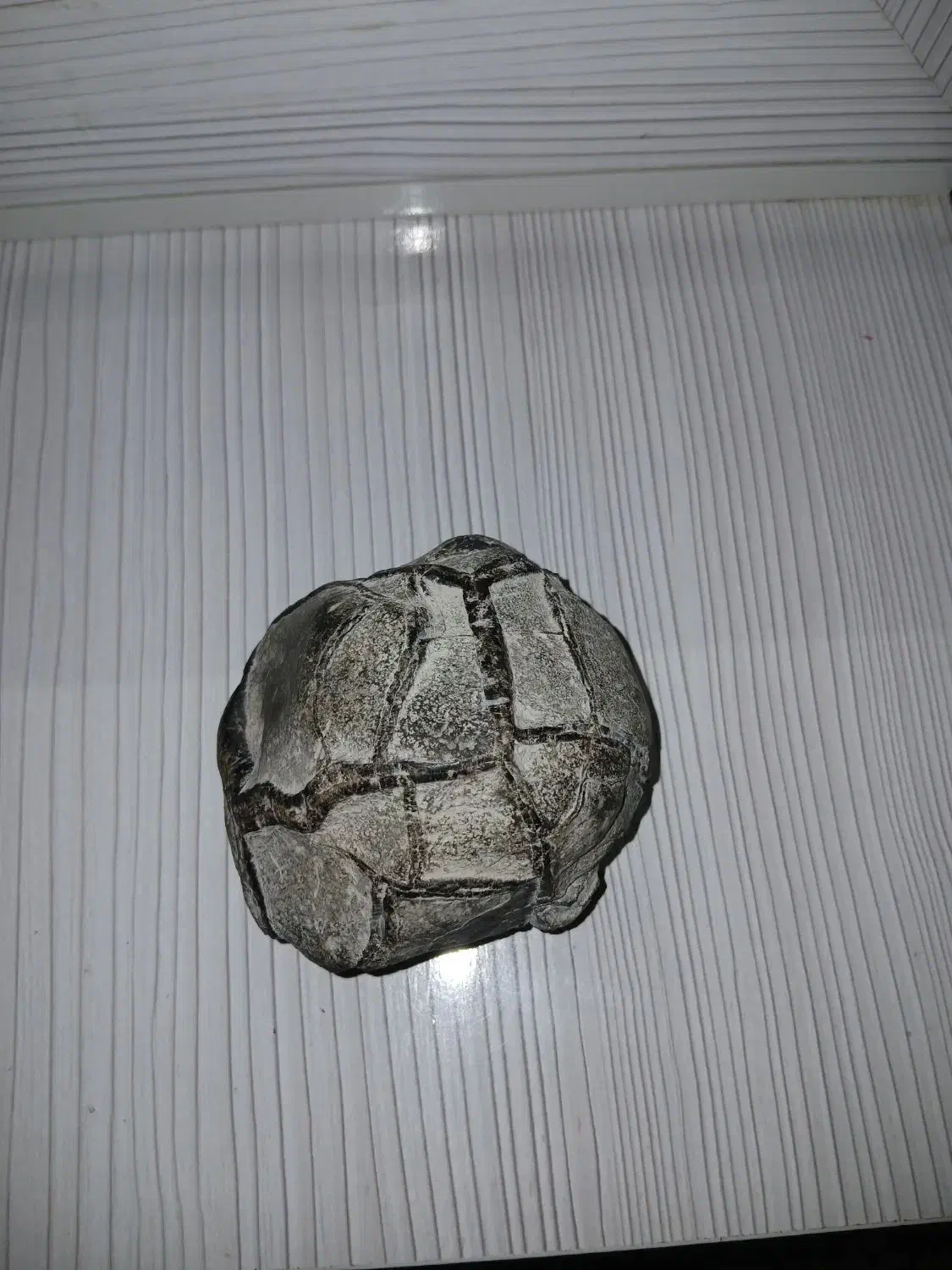 سنگ قیمتی|کلکسیون اشیاء عتیقه|تهران, جوادیه تهرانپارس|دیوار