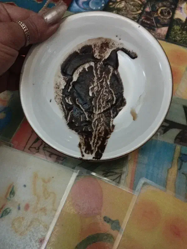 فال قهوه تاروت ثورا|خدمات پذیرایی، مراسم|زاهدان, |دیوار