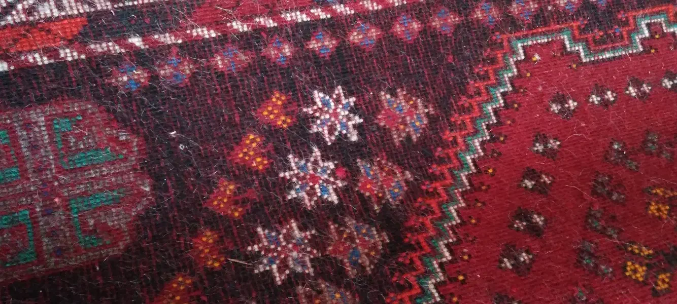 قالیچه دستبافت سنتی|فرش|شیراز, داریون|دیوار