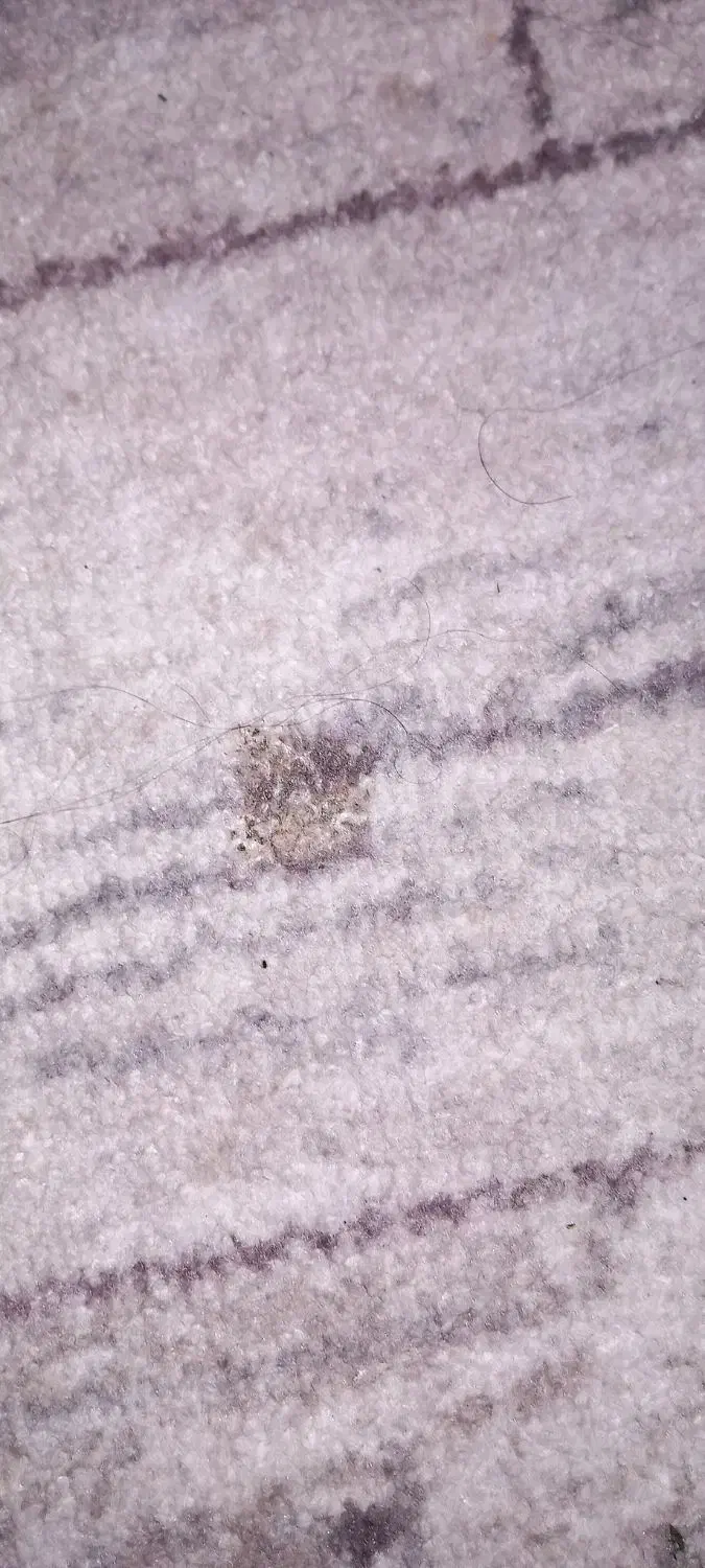 پالاز موکت|موکت|آبادان, |دیوار