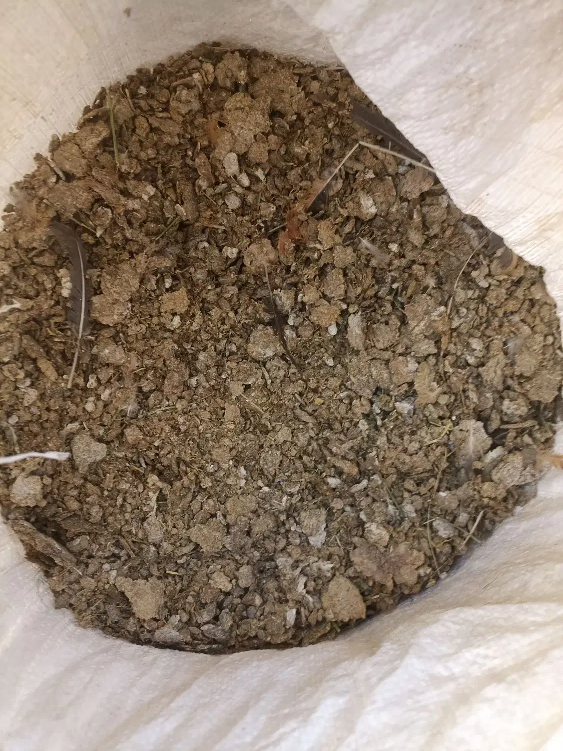 کود مرغی|خدمات باغبانی و درختکاری|فرمهین, |دیوار