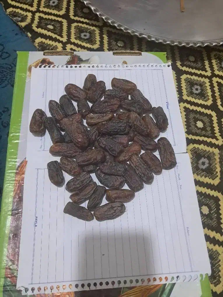 اهواز کارون|عمده‌فروشی|کارون, |دیوار