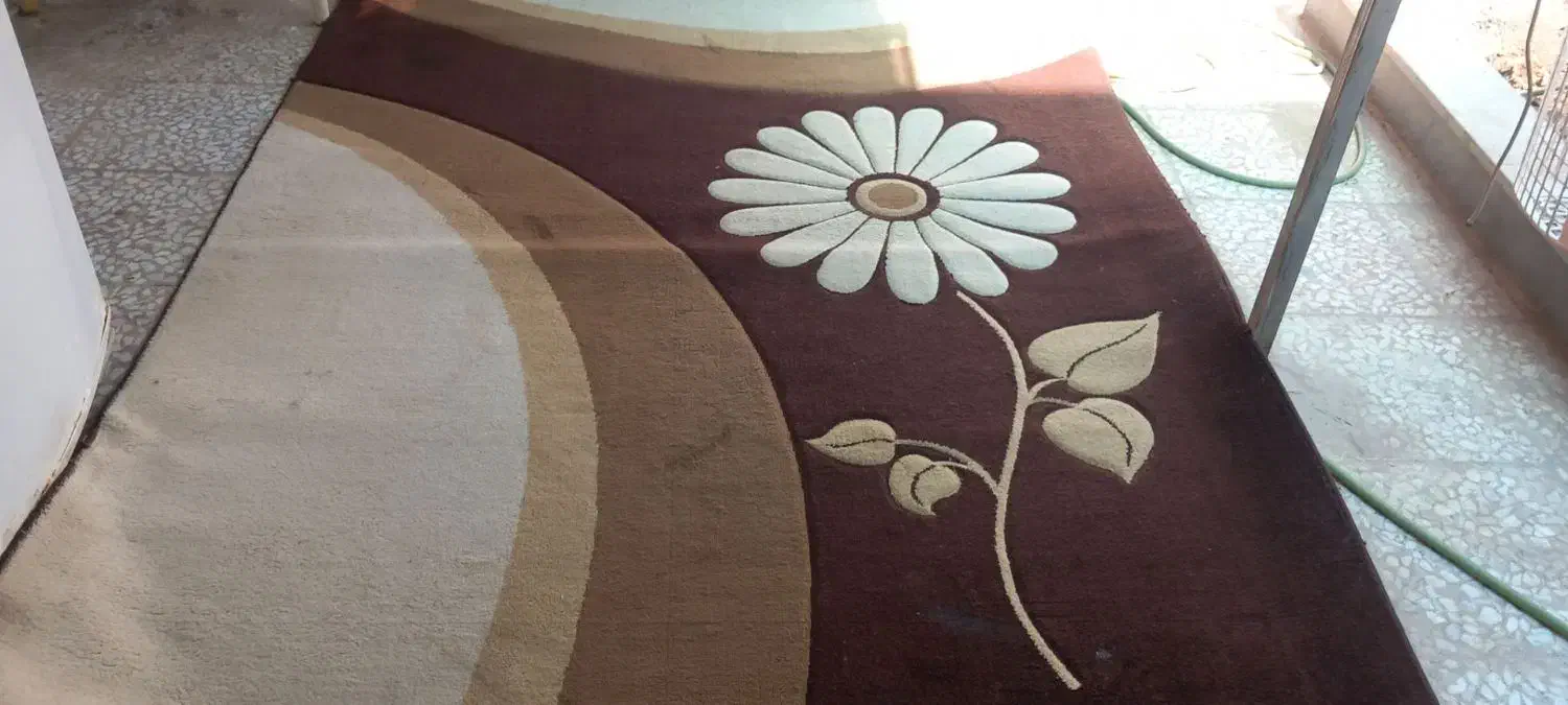 فرش|فرش|گرمسار, |دیوار