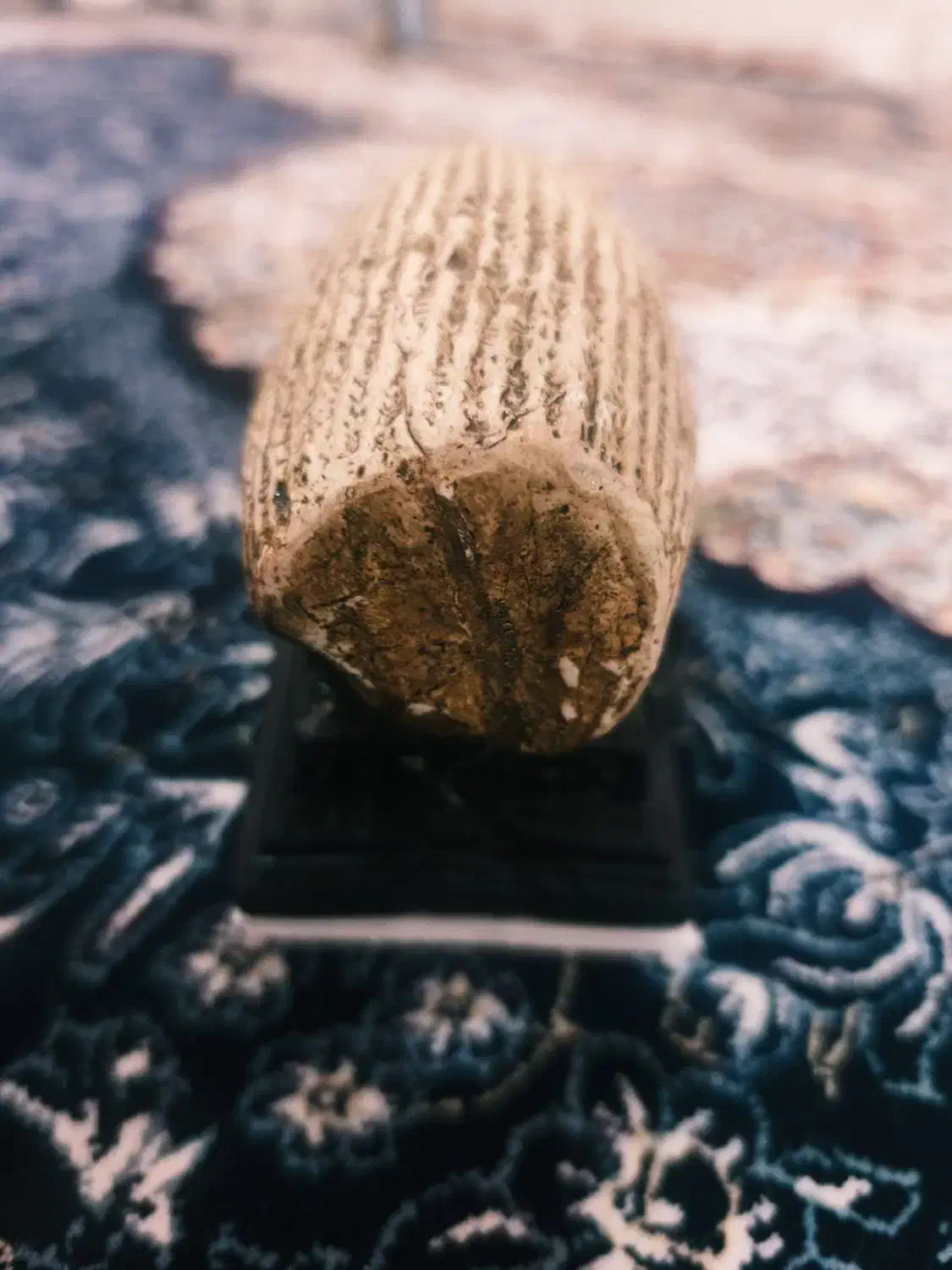 منشور کوروش و  مجسمه آن همراه  انگشتر اسکلتی|مجسمه، تندیس، ماکت|لار, |دیوار