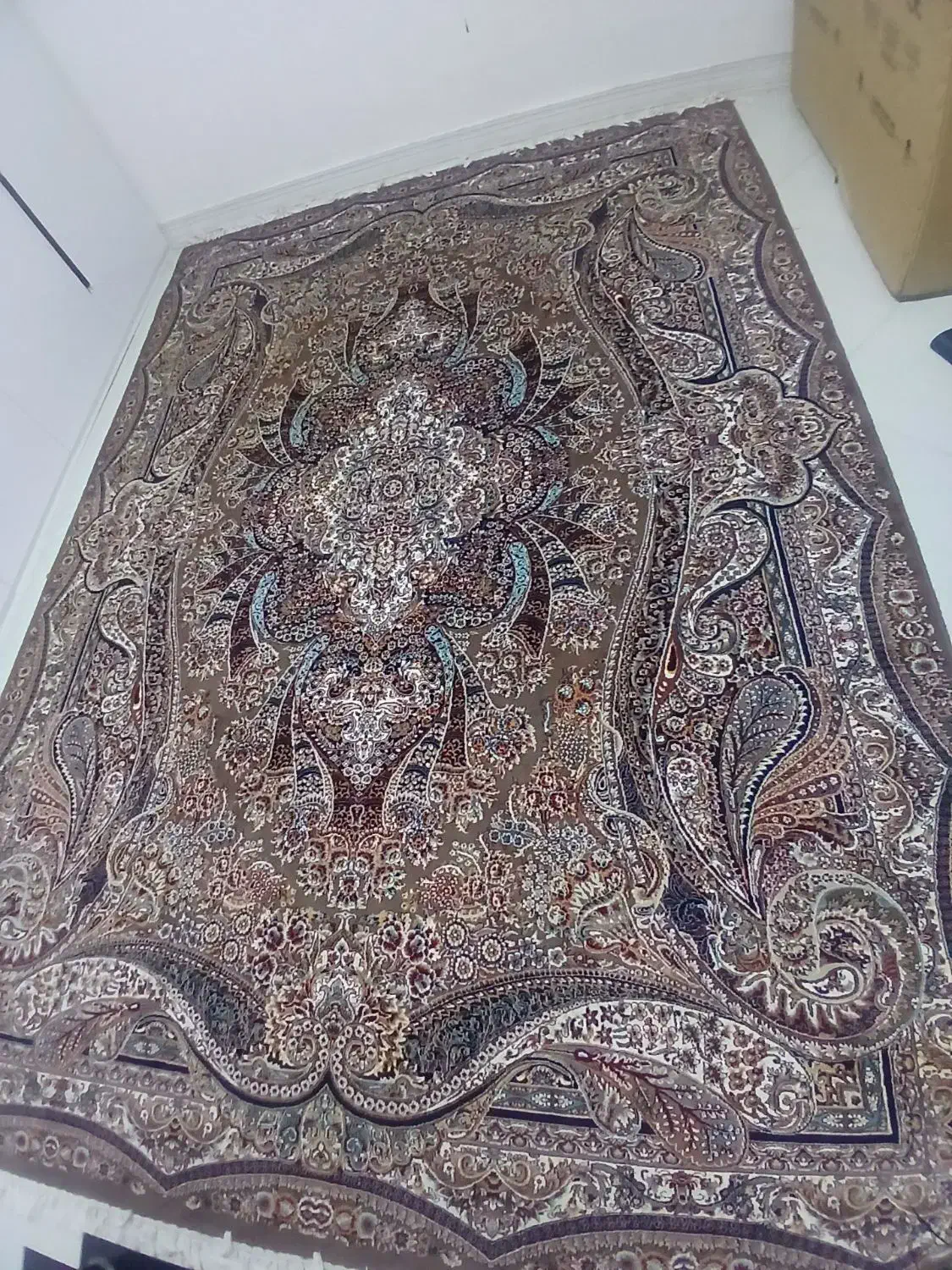 فرش ۹ متر|فرش|بیرجند, |دیوار