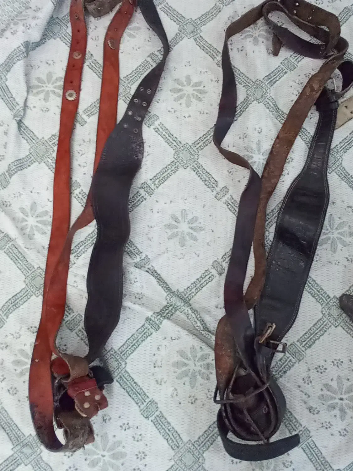 کمر چهل چراغ.3عدد|کیف، کفش، کمربند|مهاجران, |دیوار