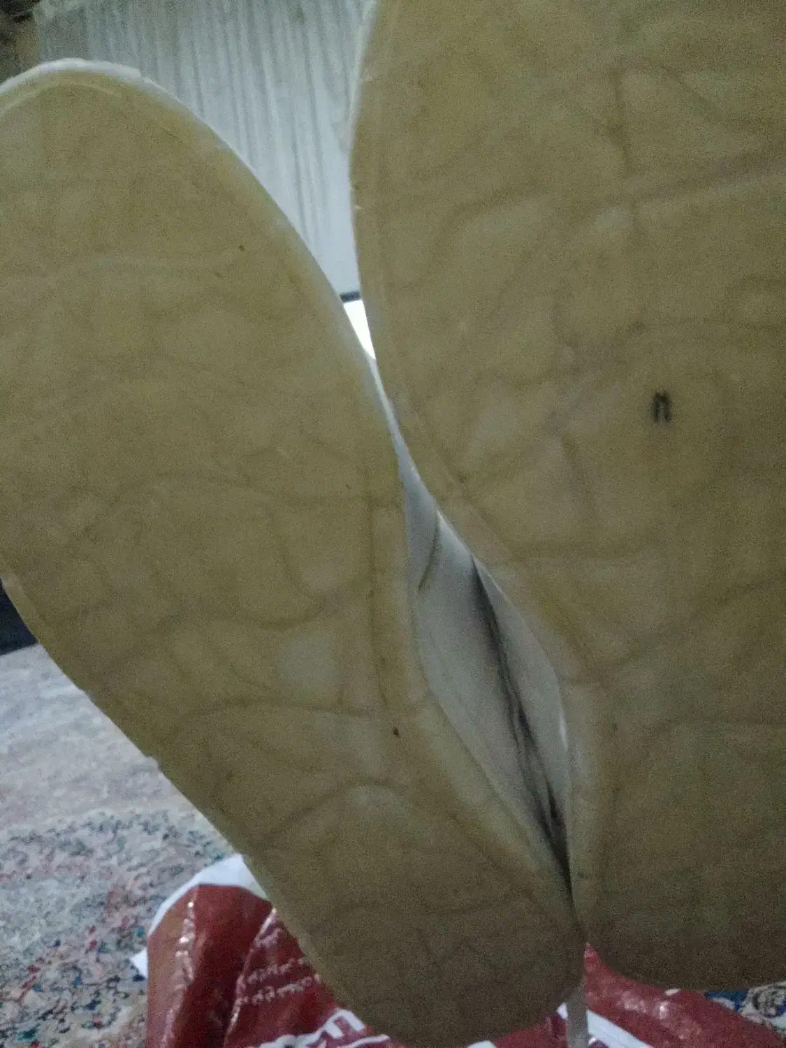 کتونی lacoste  سایز ۴۳|کیف، کفش، کمربند|تهران, هرندی|دیوار