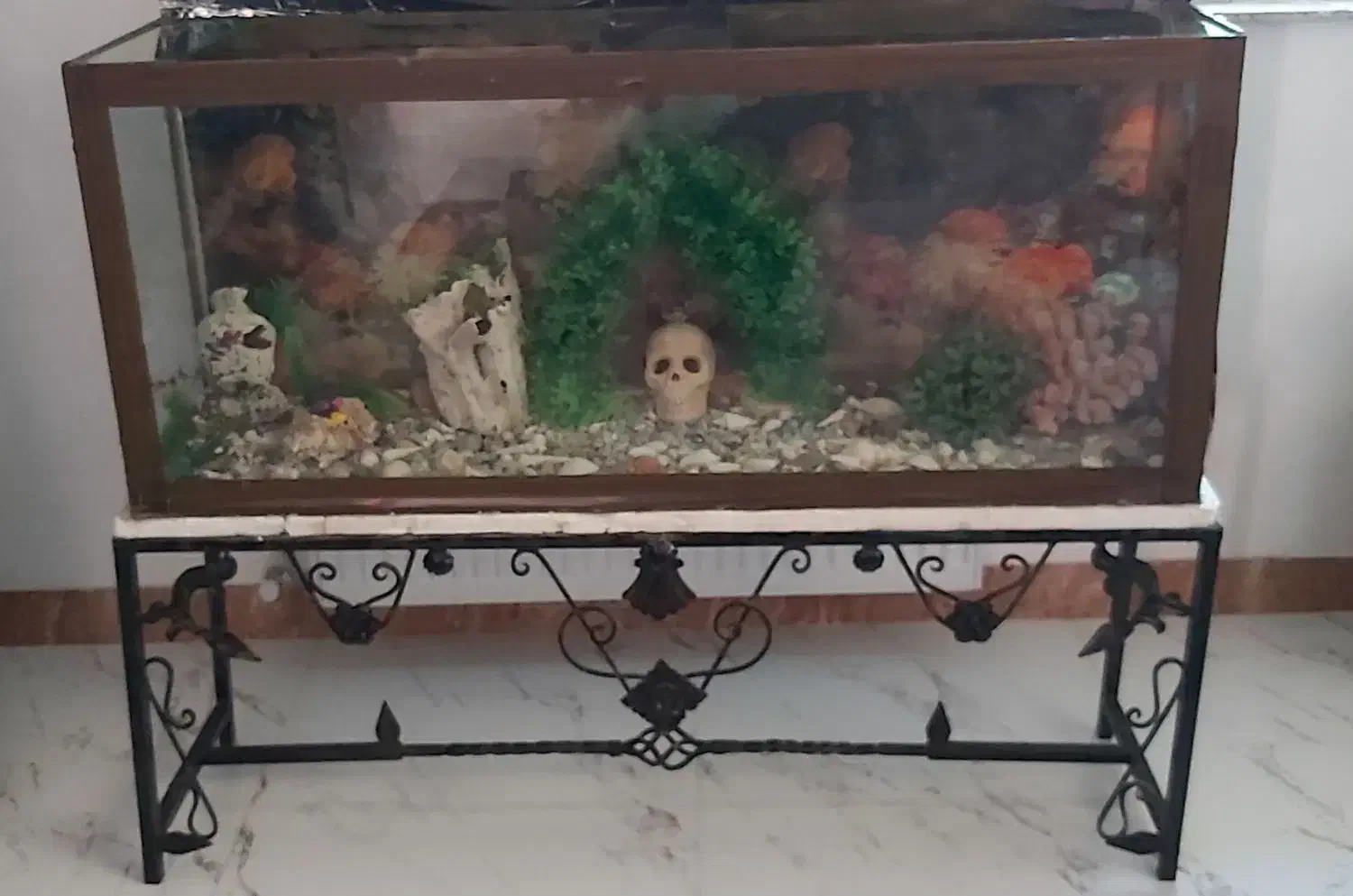 آکواریوم|ماهی|لاهیجان, شهید آوینی|دیوار