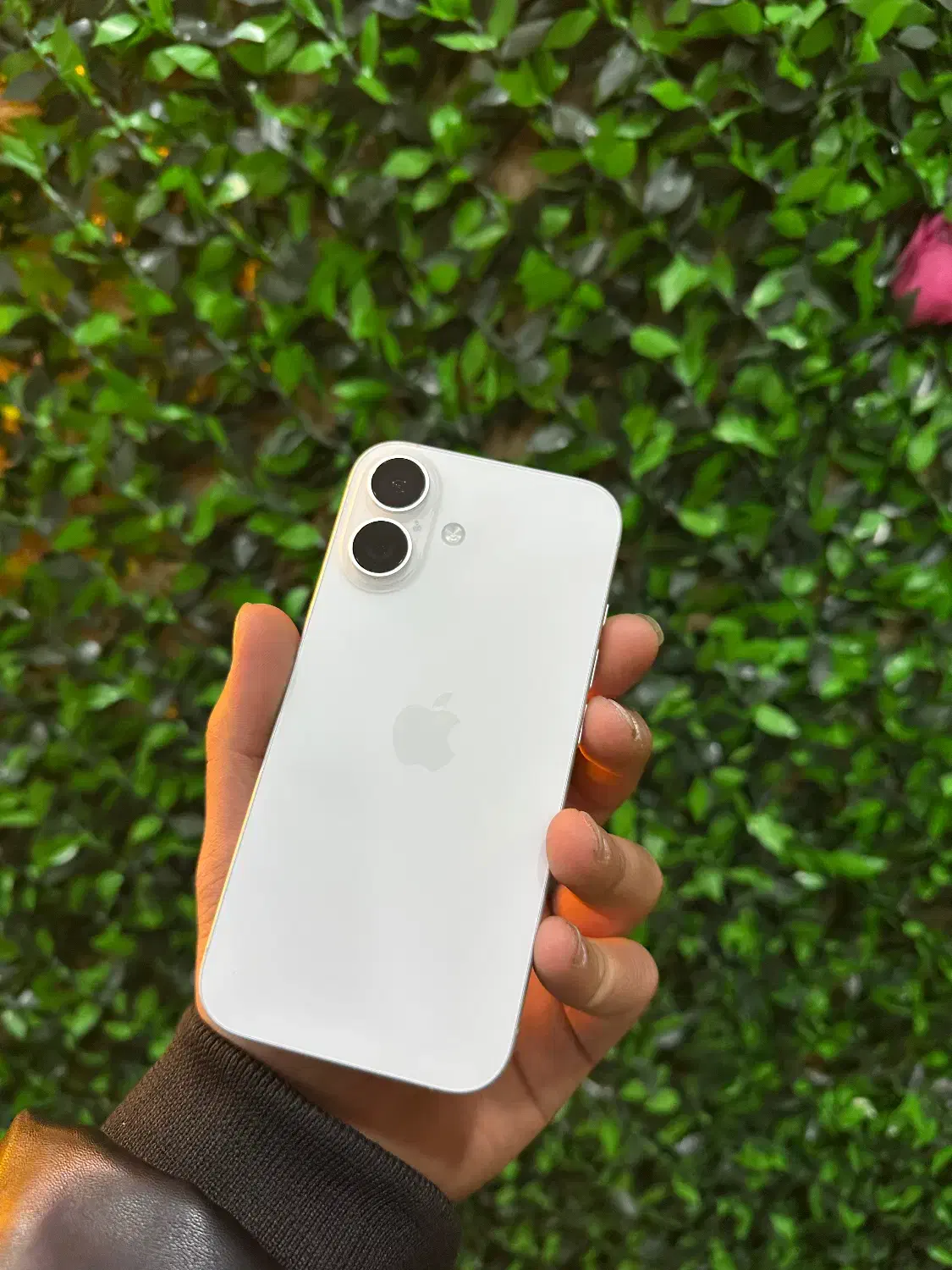 iphone 16|موبایل|سنندج, |دیوار