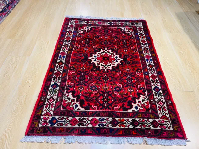ذرع نیم حسین اباد همدان|فرش|تهران, سلسبیل شمالی|دیوار