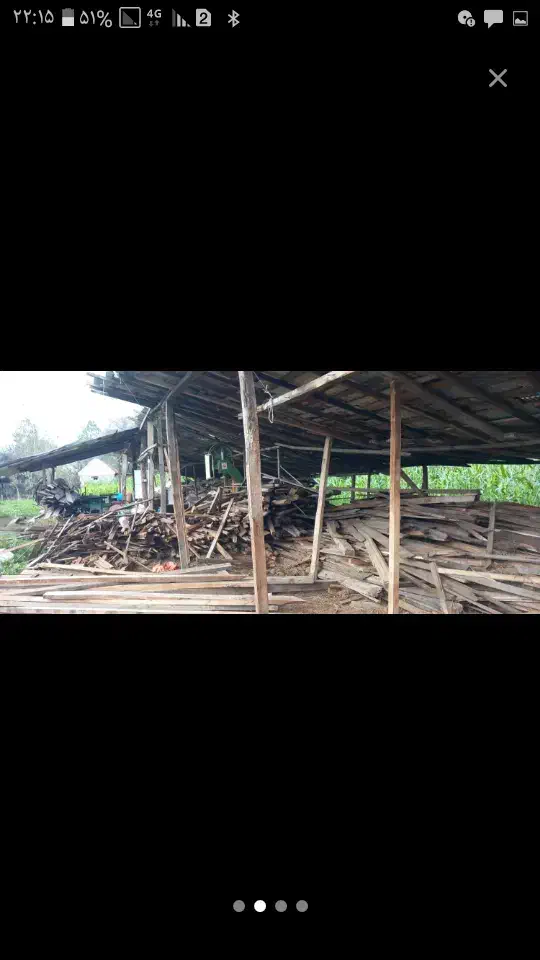 خرید چوبهای ساختمانی|خدمات باغبانی و درختکاری|رشت, منظریه|دیوار