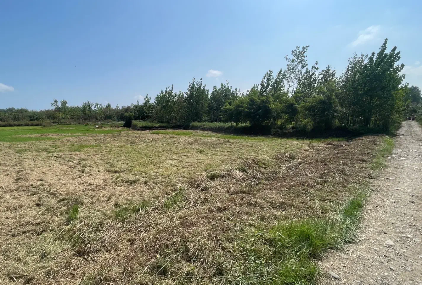 زمین متراژ ۱۷۸۸ متر با سند|فروش زمین و ملک کلنگی|لنگرود, |دیوار