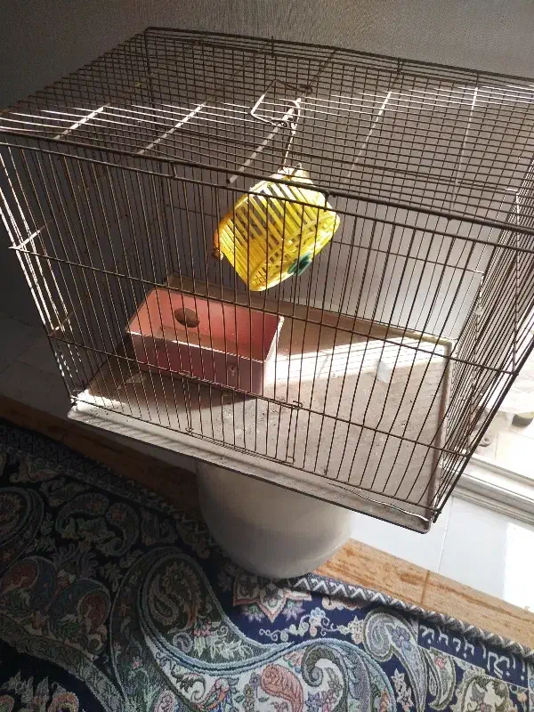 قفس|لوازم جانبی حیوانات|شریف‌آباد, |دیوار