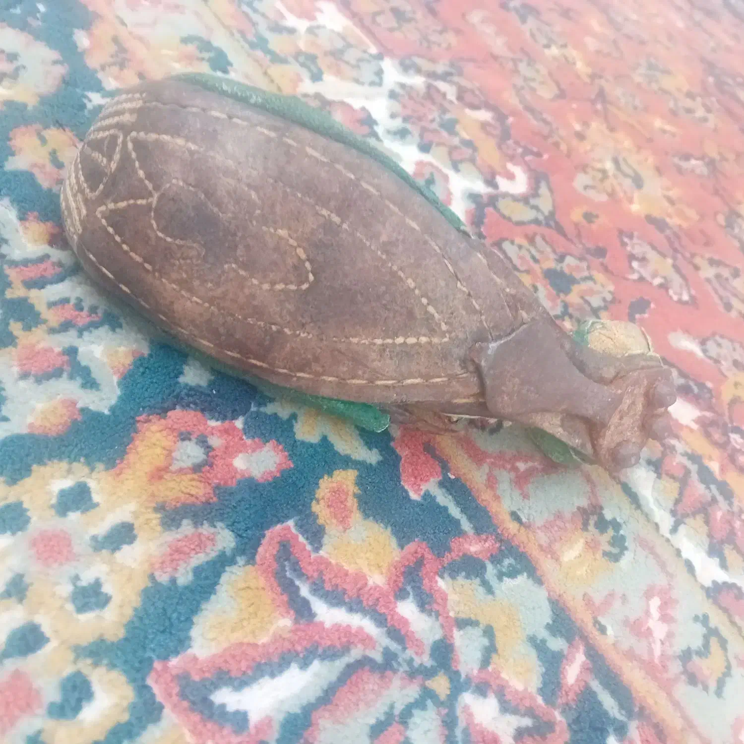 لنگ کفش قدیمی عتیقه|کلکسیون اشیاء عتیقه|قائن, |دیوار