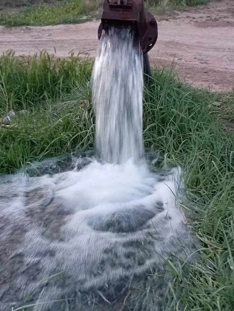 باغ میوه وآب|فروش زمین و ملک کلنگی|نیشابور, هفده شهریور|دیوار