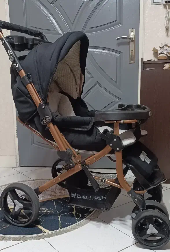 کالسکه دلیجان|کالسکه و لوازم جانبی|اسلام‌شهر, شهرک قائمیه|دیوار