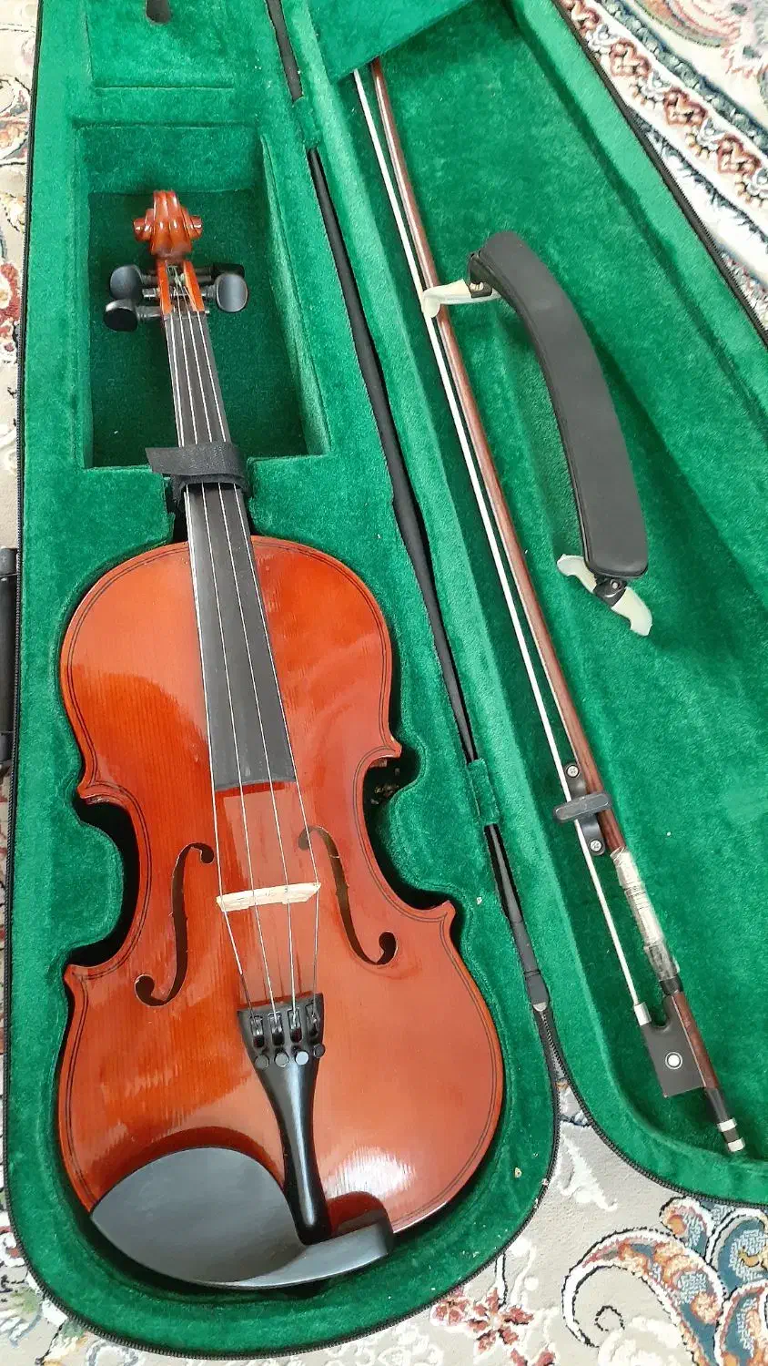 تنبک ویولون|ویولن|گلپایگان, |دیوار