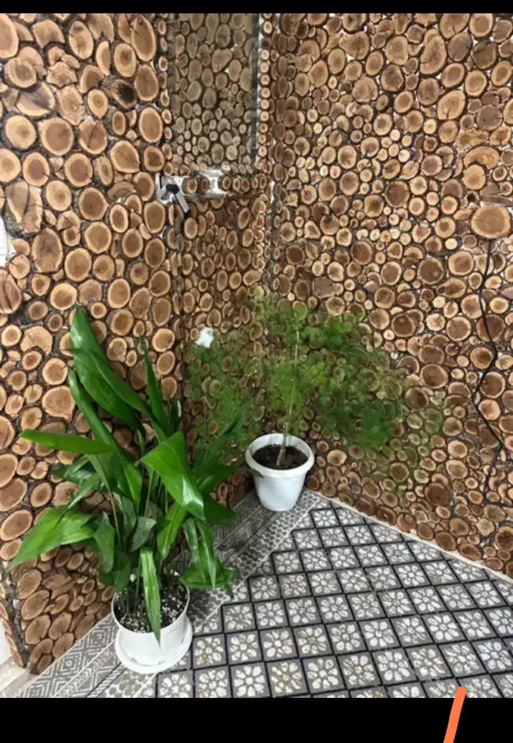 گل و گیاه طبیعی|گل و گیاه طبیعی|قم, امامزاده ابراهیم|دیوار