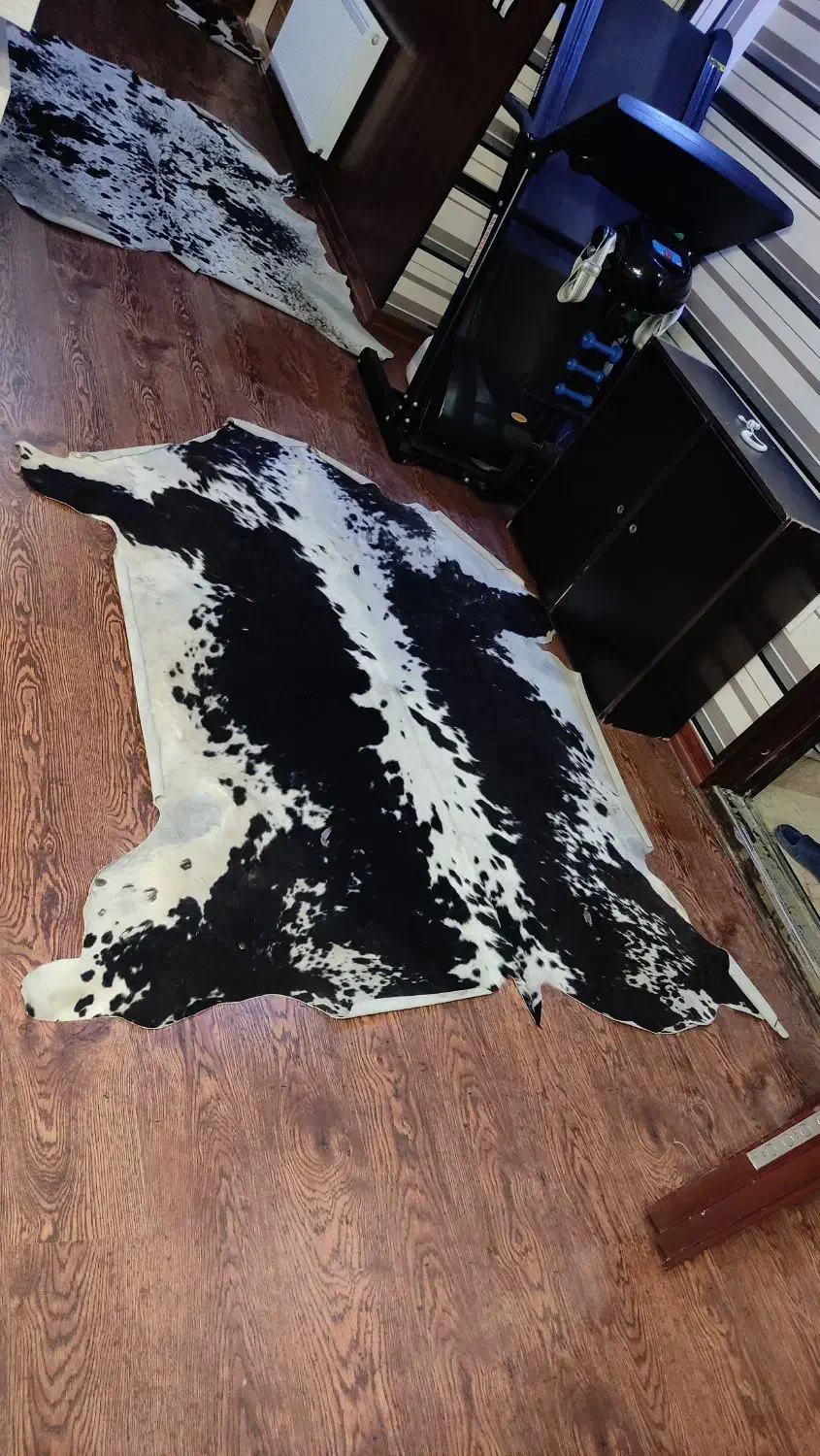 پوست گاو|فرش|تهران, سلسبیل جنوبی|دیوار