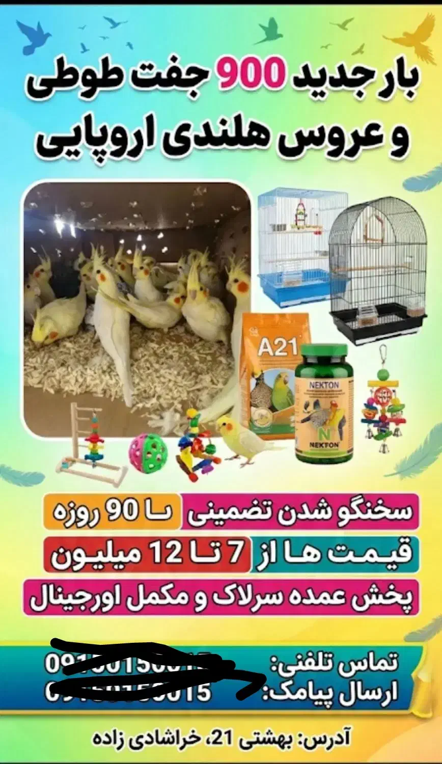 تبلیغتون یا کمترین هزینه به ما بسپارید کپشن مهم|خدمات رایانهای و موبایل|بیرجند, |دیوار