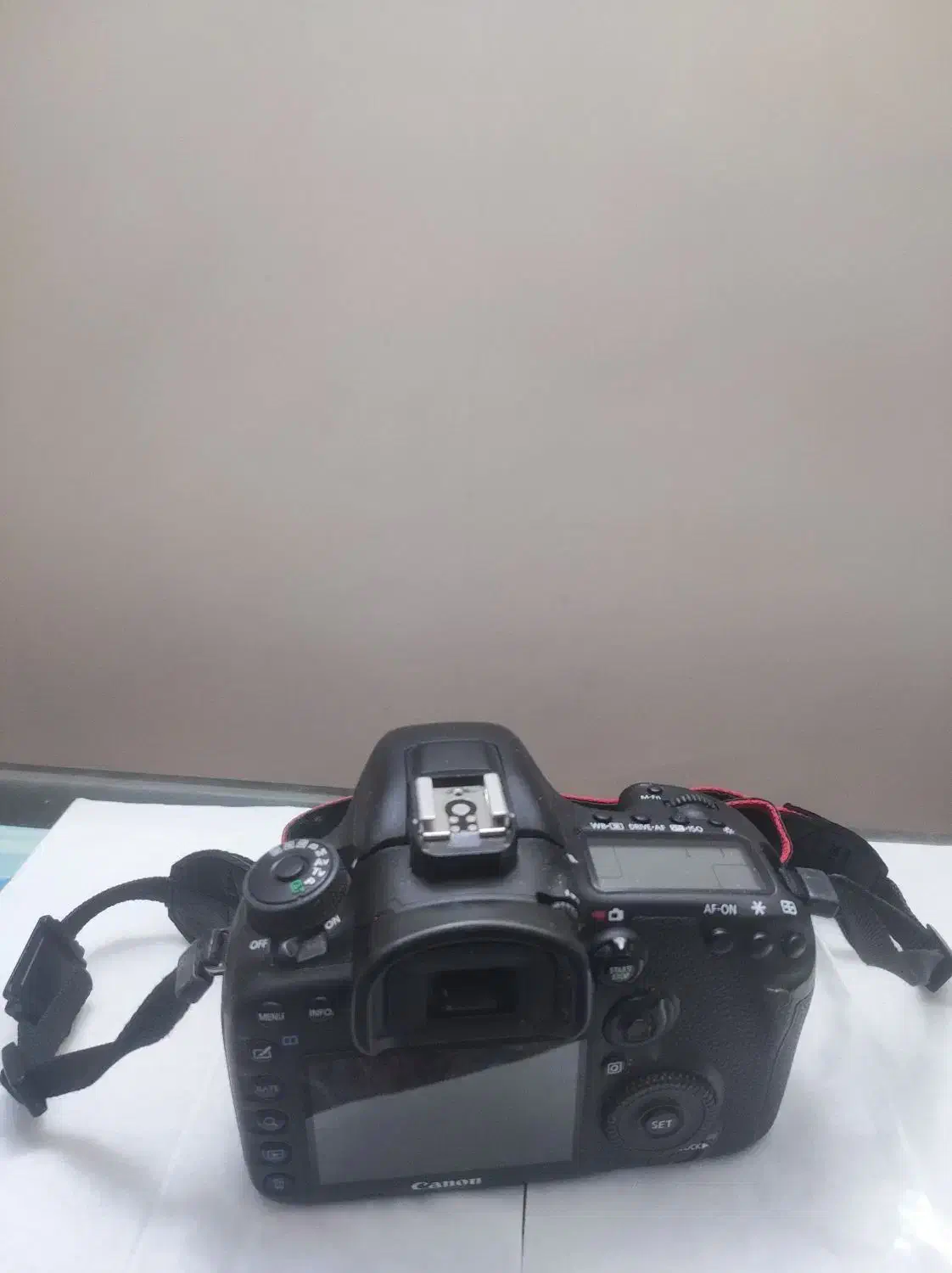 کنون 7D mark II|دوربین عکاسی و فیلمبرداری|اصفهان, باغ زرشک|دیوار