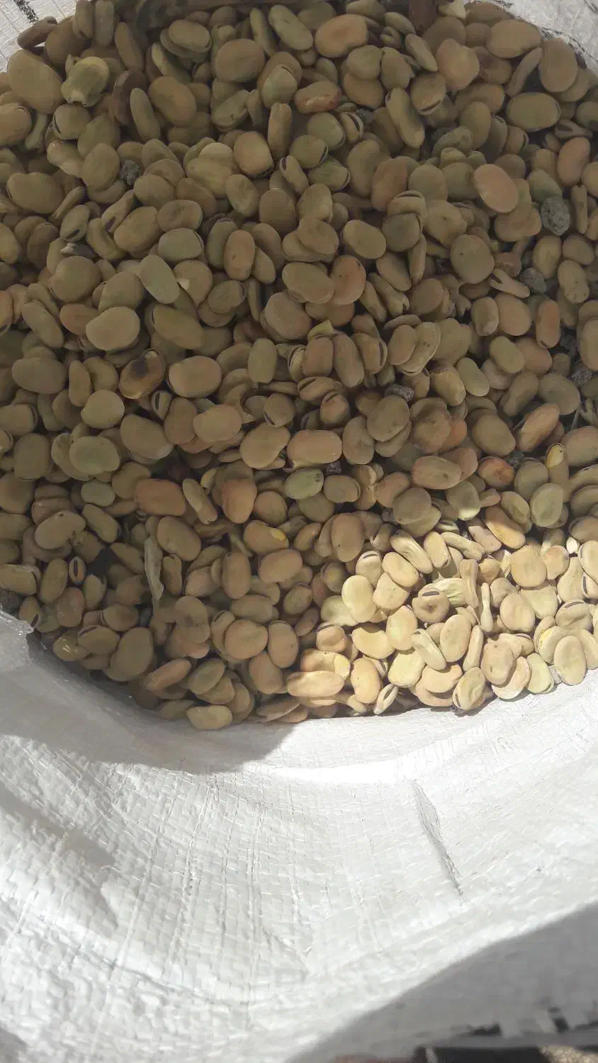 باقله|خوردنی و آشامیدنی|خرم‌آباد, |دیوار