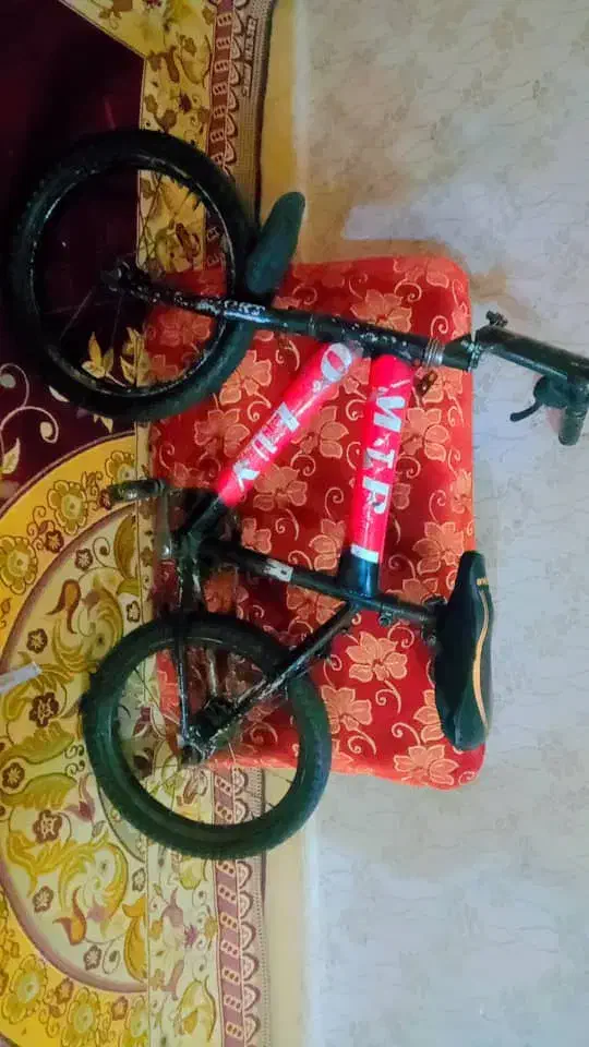 دوچرخه اسکیت|دوچرخه، اسکیت، اسکوتر|حمیدیه, |دیوار