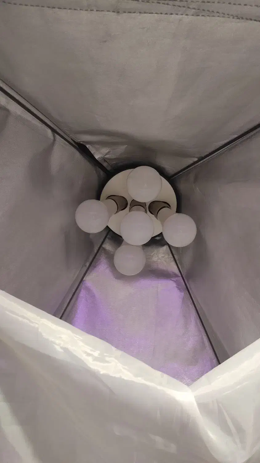 سافت باکس ۵ لامپه|دوربین عکاسی و فیلمبرداری|ارومیه, |دیوار