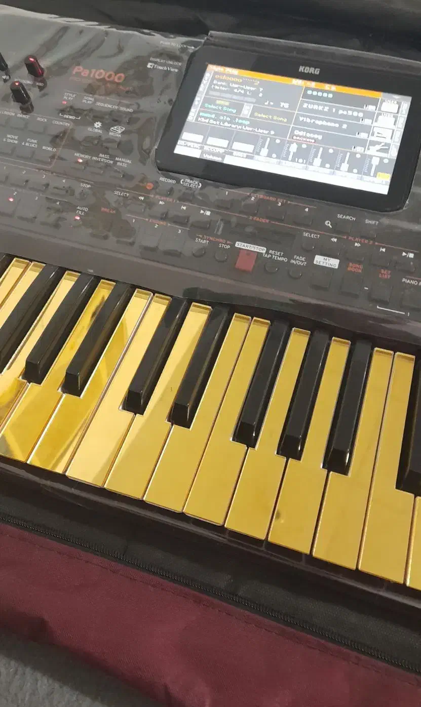 اورگ pa1000|پیانو، کیبورد، آکاردئون|بندرعباس, |دیوار