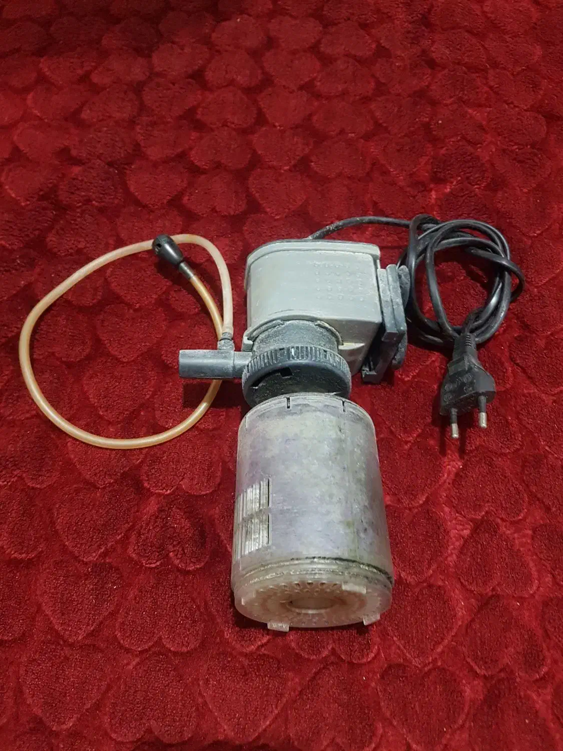 لوازماکواریوم|ماهی|برخوار, |دیوار