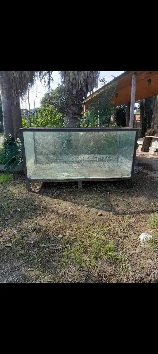 فروش آکواریوم|ماهی|چالوس, |دیوار