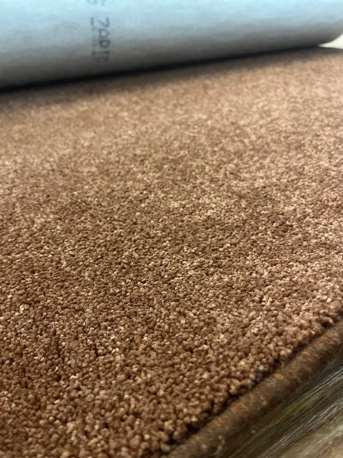 موکت پالاز|موکت|ابهر, |دیوار