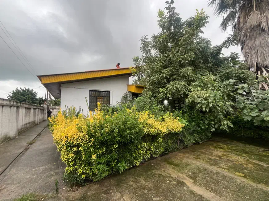 رهن ویلا پلاک ۲دریا در نشتارود|اجارهٔ خانه و ویلا|نشتارود, |دیوار