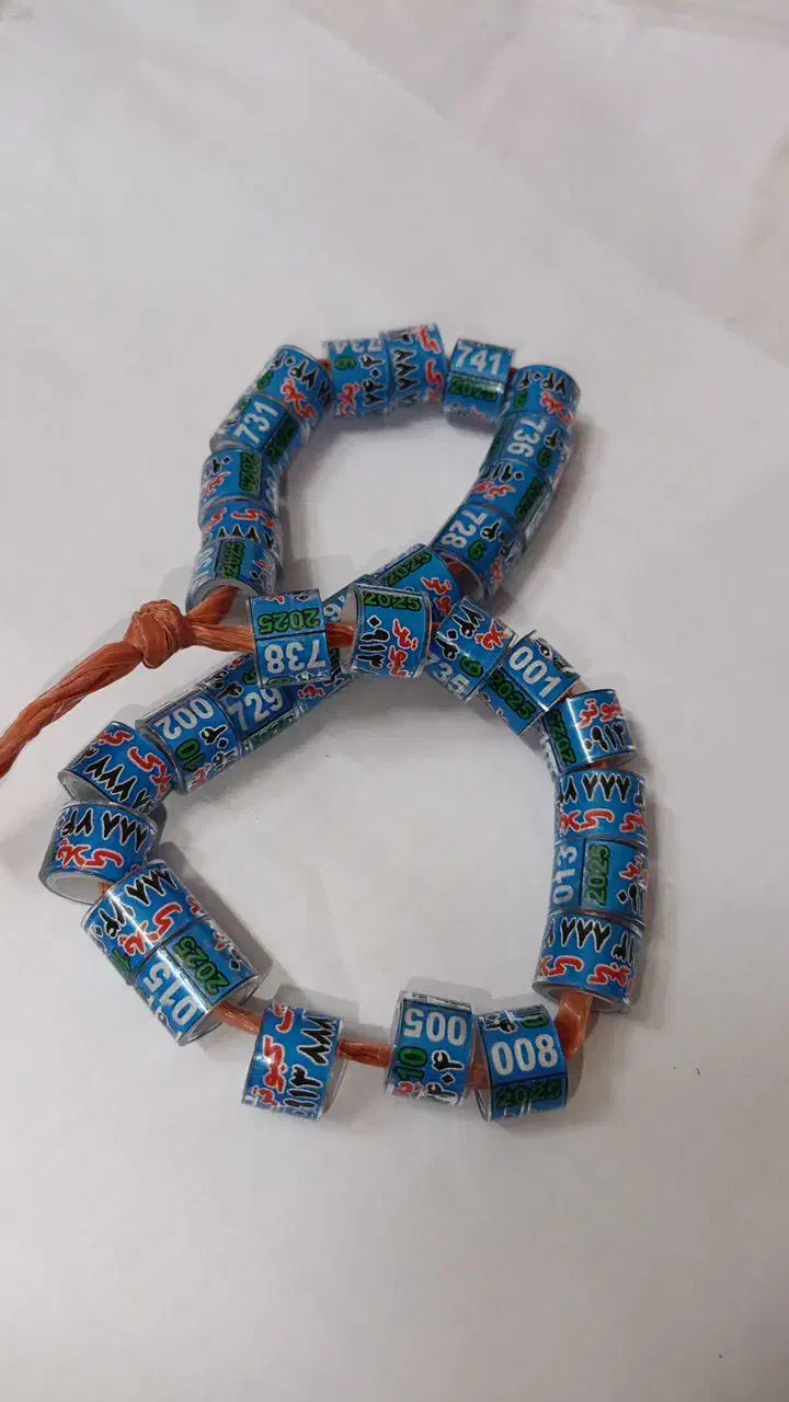 یک پلاک کبوتر آبی سمنانی|لوازم جانبی حیوانات|سمنان, |دیوار