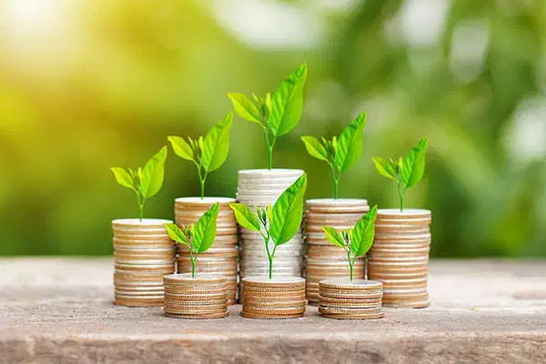 مضاربه|استخدام مالی، حسابداری، حقوقی|قم, پردیسان|دیوار