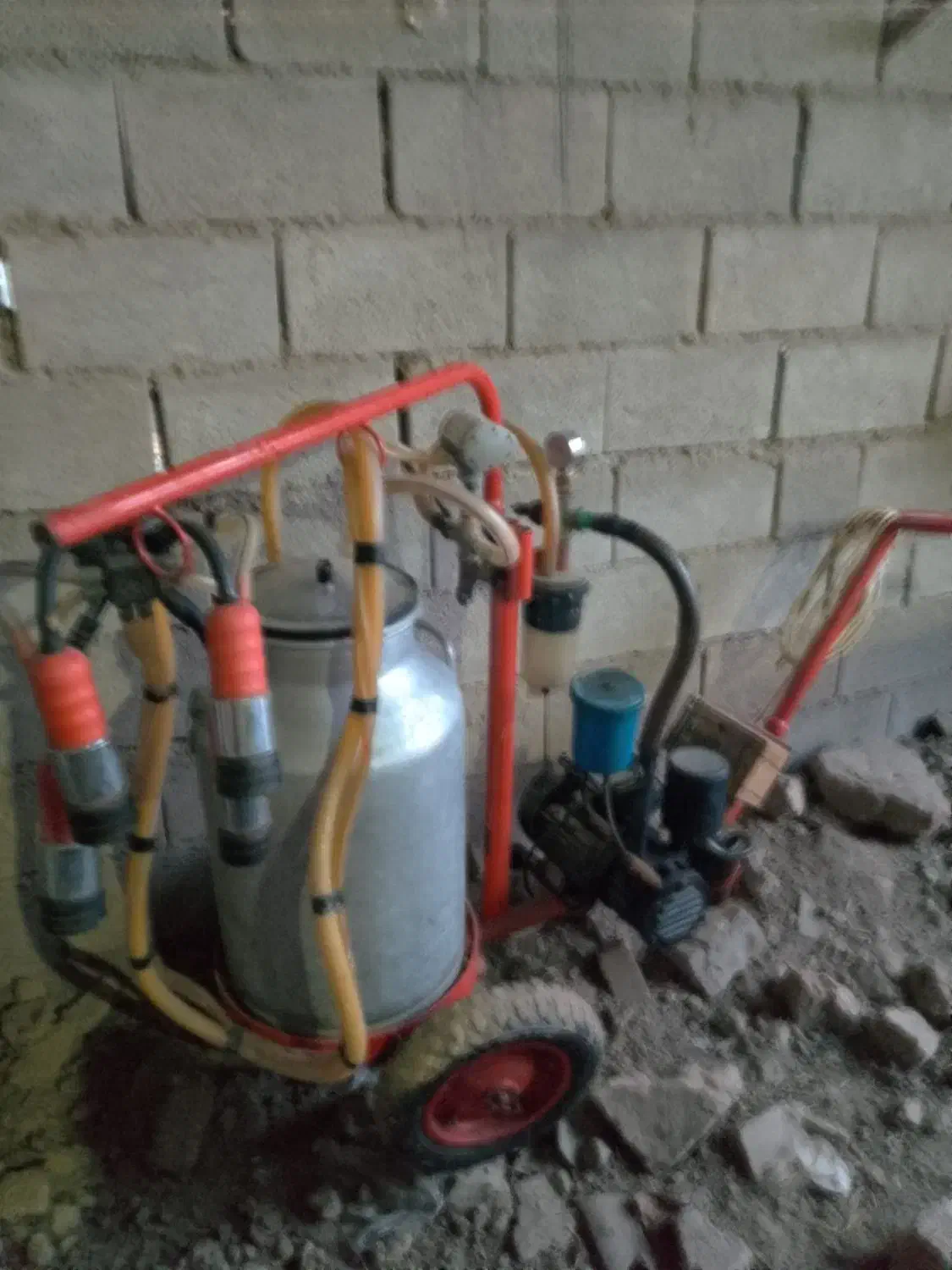 شیر دوش|لوازم جانبی حیوانات|فراغی, |دیوار