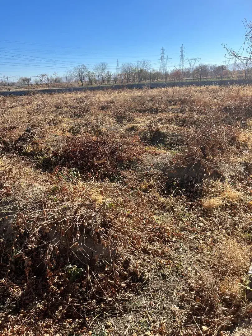 فروش باغ فوری|فروش زمین و ملک کلنگی|گلپایگان, |دیوار