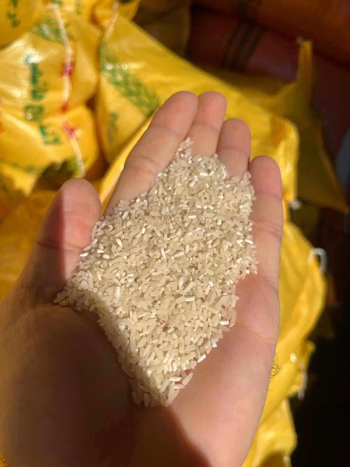 سرلاشه فجر درجه یک و عطری|خوردنی و آشامیدنی|رضوانشهر, |دیوار