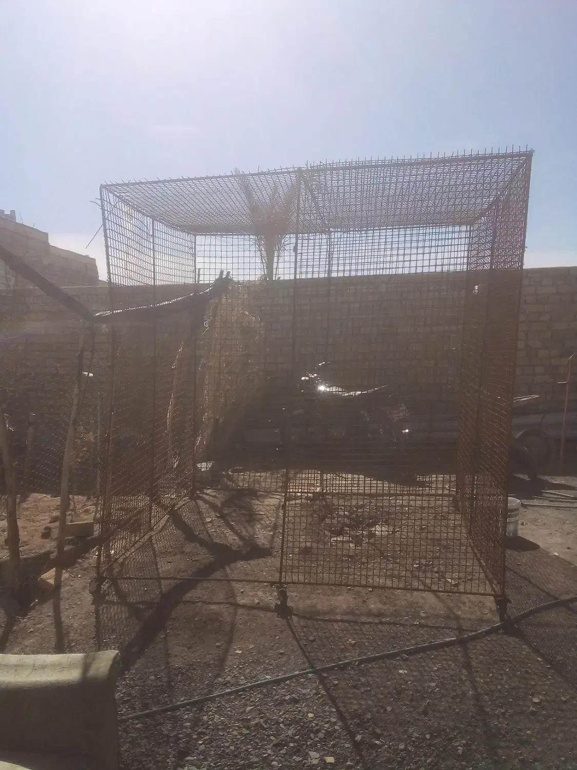 قفس|لوازم جانبی حیوانات|رفسنجان, |دیوار