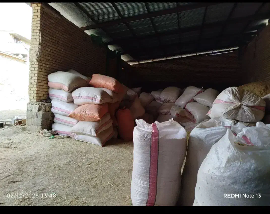 کاه گندم گونی شده|لوازم جانبی حیوانات|همایجان, |دیوار