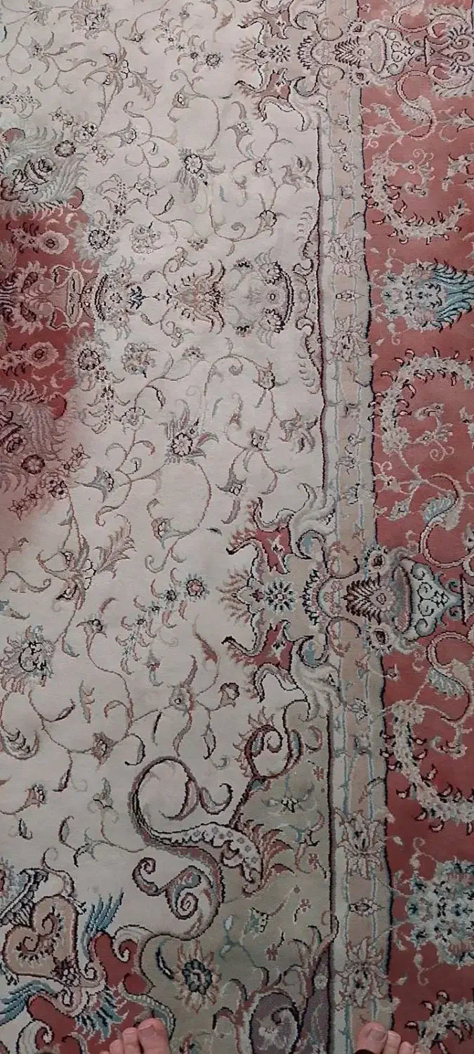 فرش ۶متری|فرش|ری, علایین|دیوار