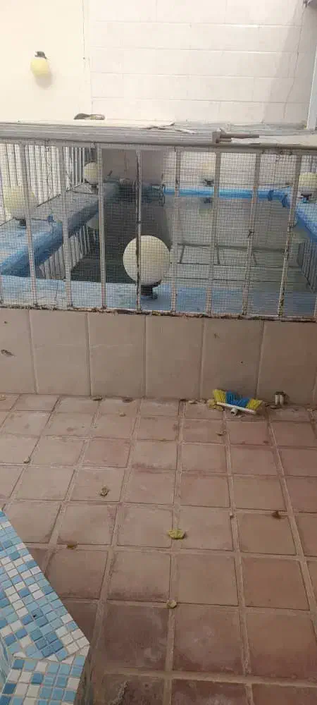 فروش باغ با امکانات عالی|فروش خانه و ویلا|بهمن صغاد, |دیوار