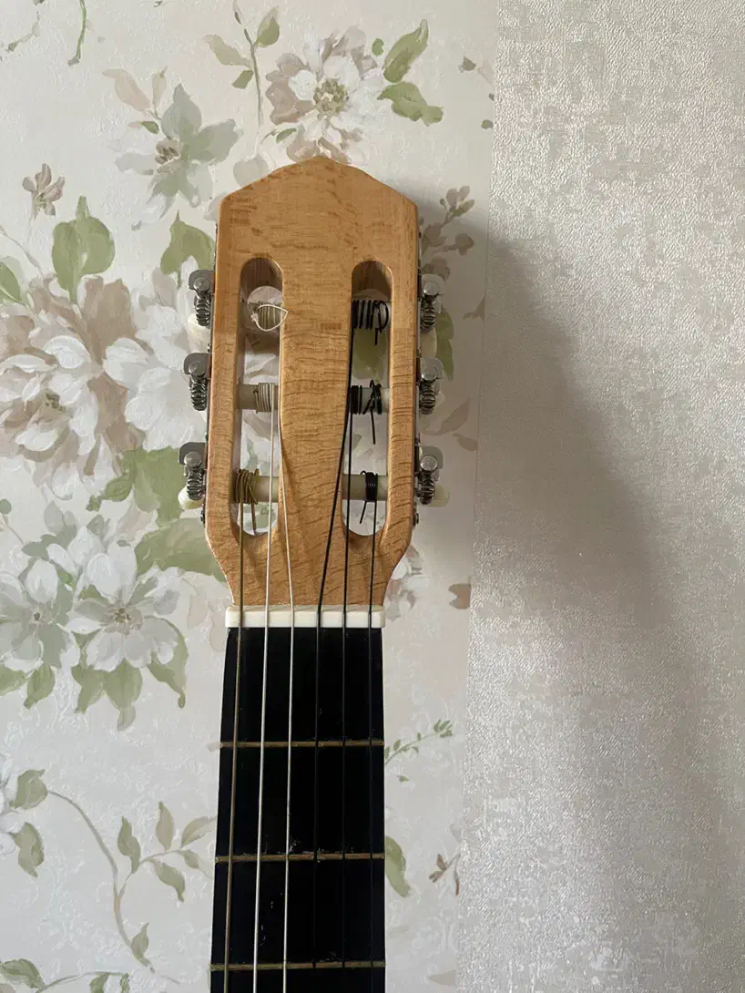 گیتار|گیتار، بیس، امپلیفایر|اصفهان, گلزار|دیوار