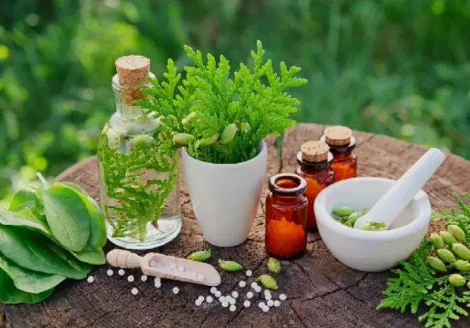 علم ودرمان ودرآمد|خدمات آموزشی|آذرشهر, |دیوار