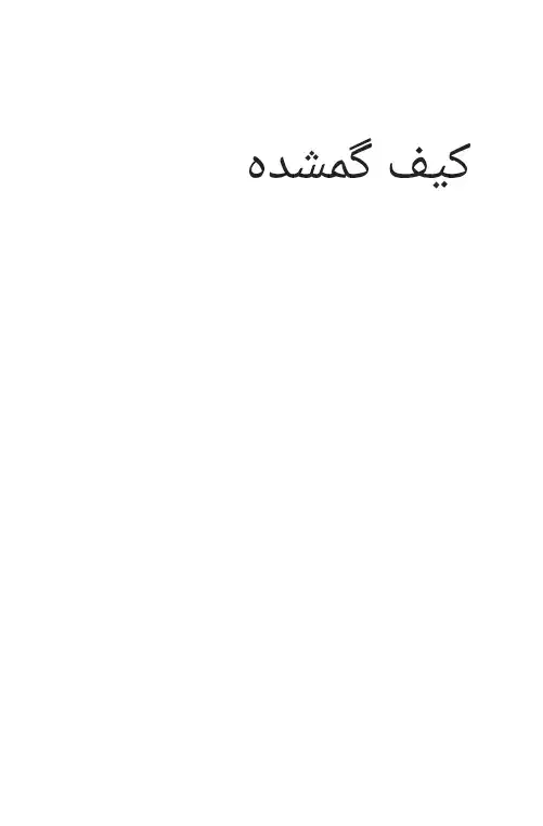 کیف گمشده|اشیا|زنجان, |دیوار